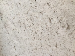Coprox03